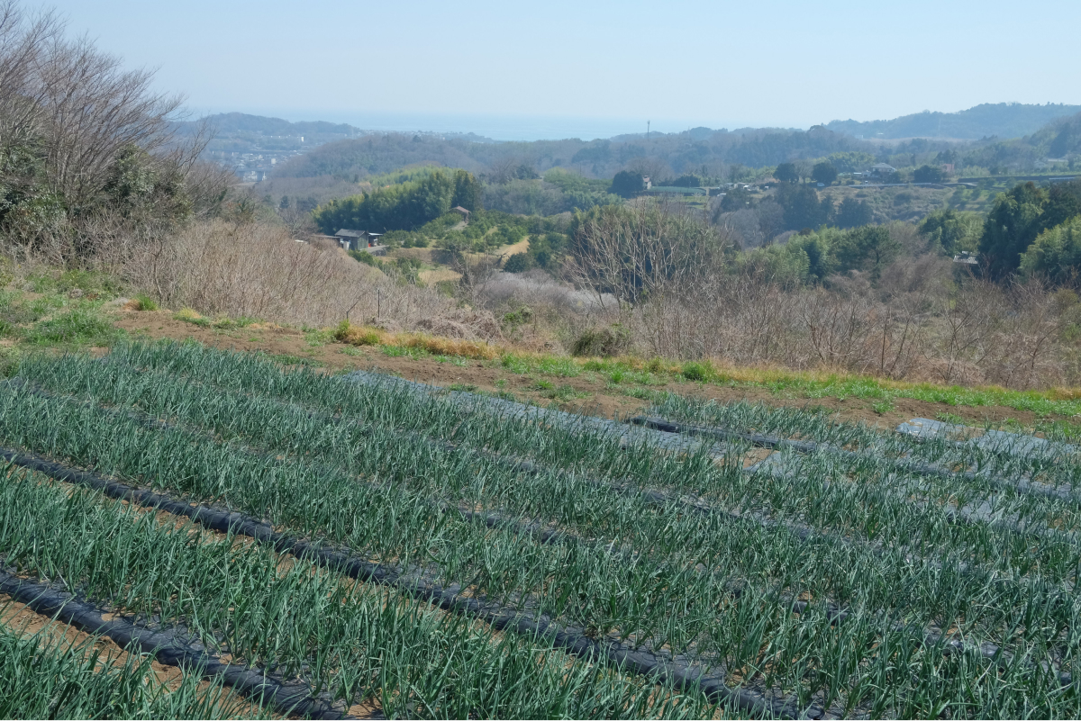 Natural Farm Akisawaキャンプ場