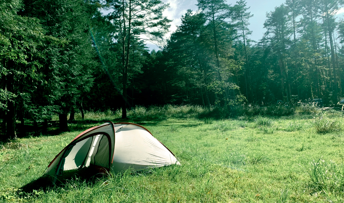 オープンサイトの様子