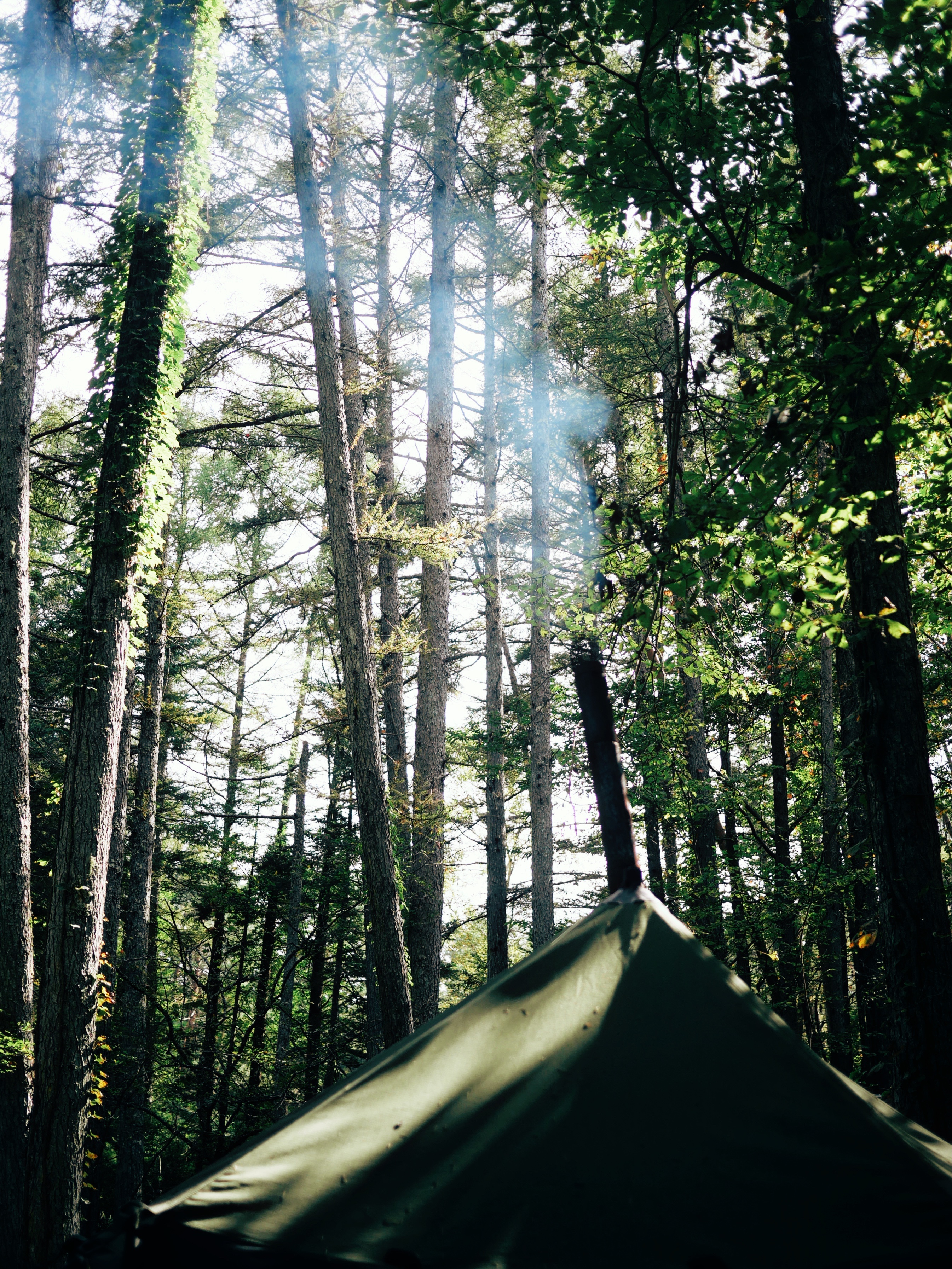 アウトドアサウナ